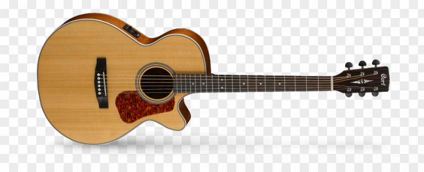 Acoustic Guitar Acoustic-electric Takamine Guitars Bass PNG