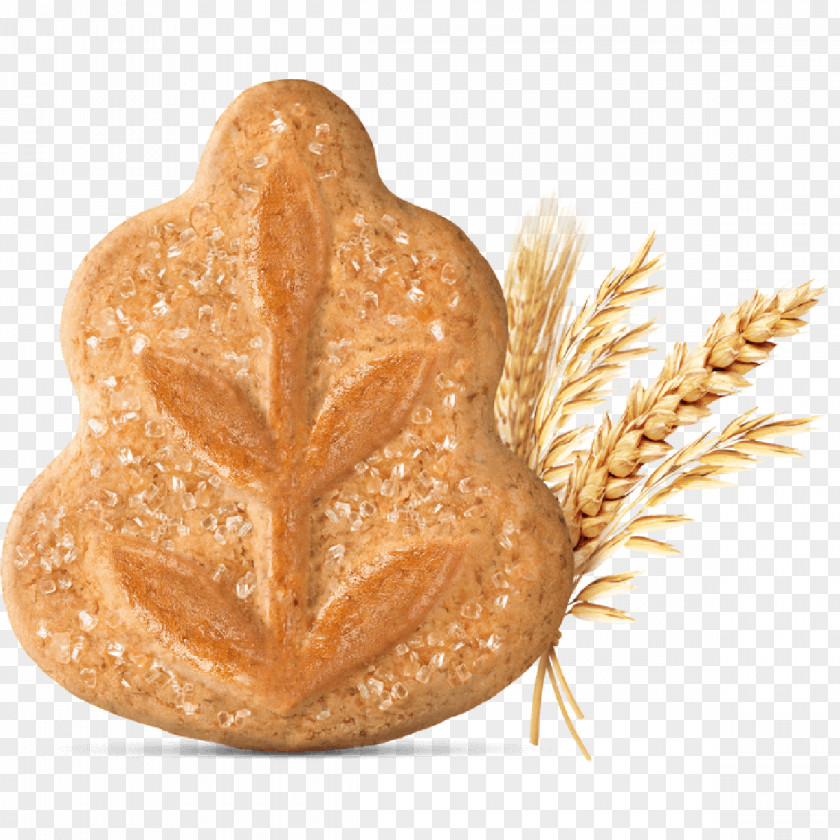 Bakery Biscuit Leaf Palm Oil Bread Food PNG