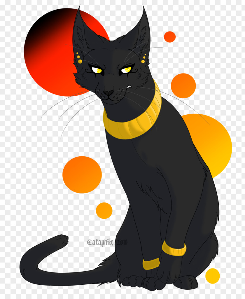 Cat Black Adrien Agreste Drawing PNG