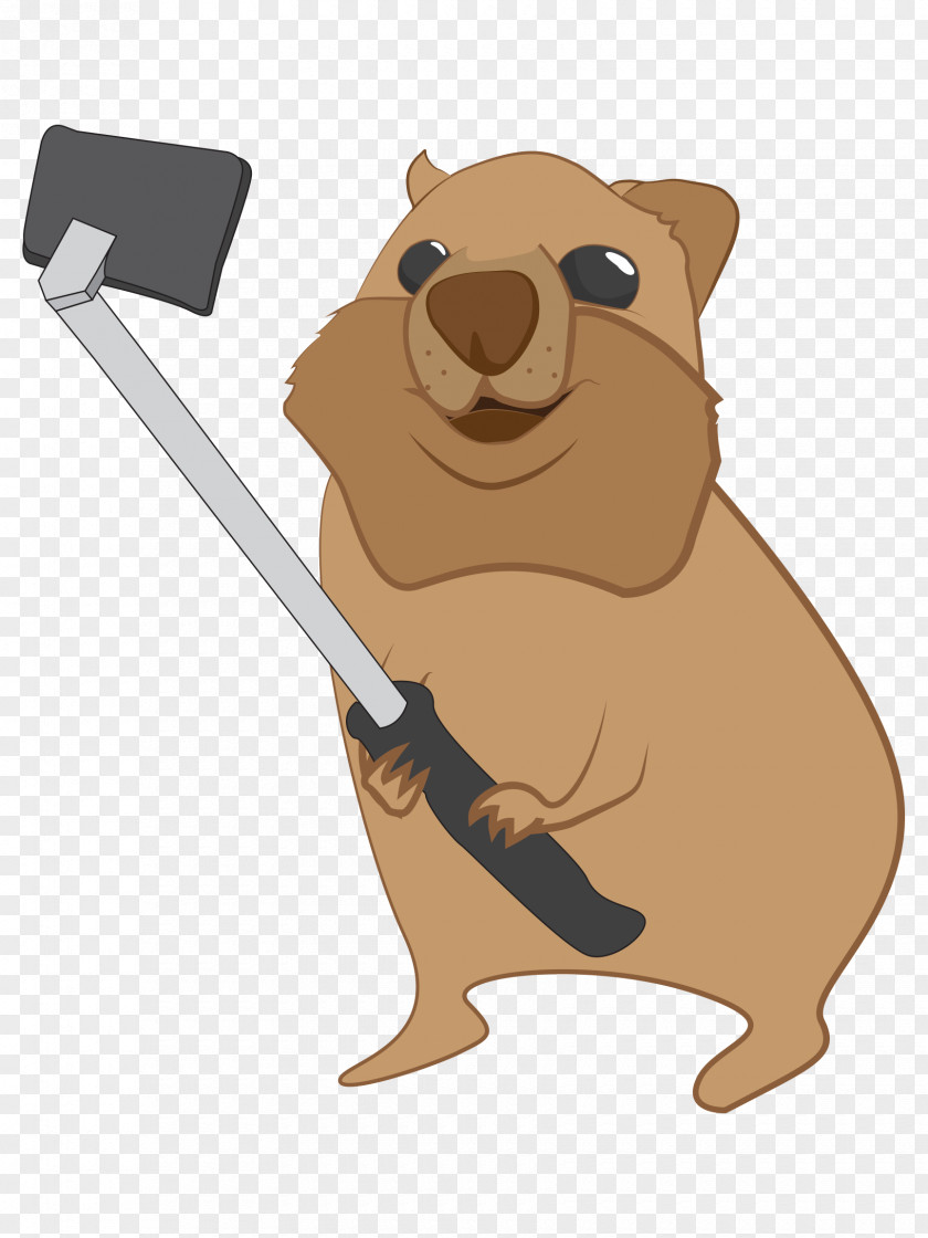 Dog Beaver Marsupial Cartoon PNG