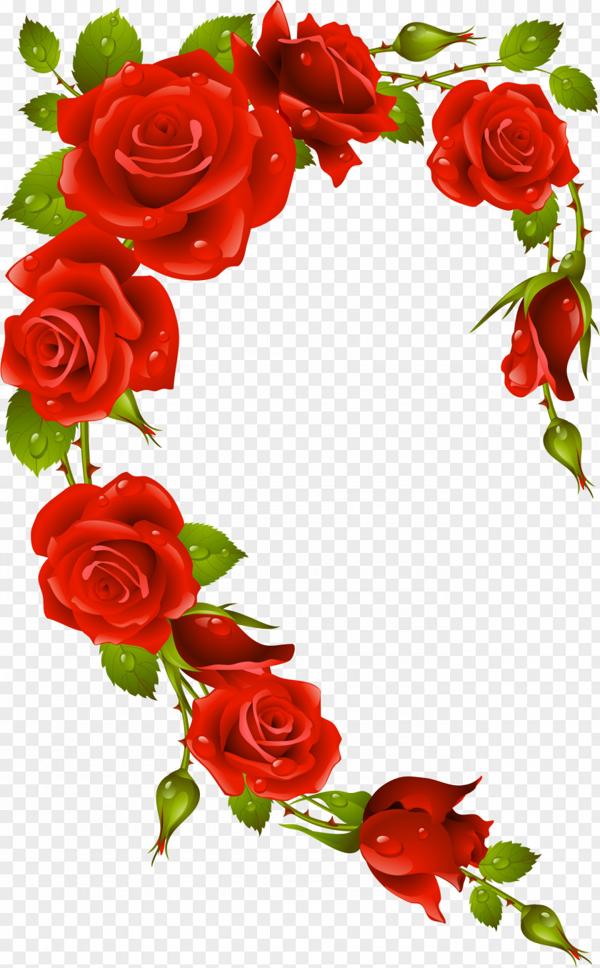 Rose Frame Picture Frames Stock Photography Clip Art PNG