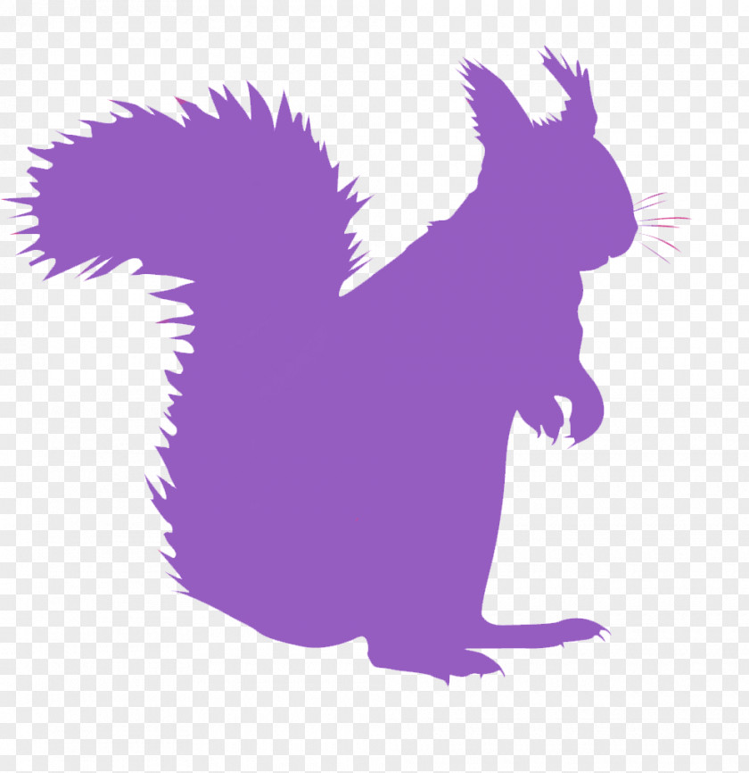 Squirrel Whiskers Cat Canidae Dog PNG