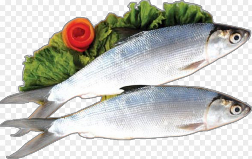Fish Milkfish Food Bandeng Presto Salmon PNG
