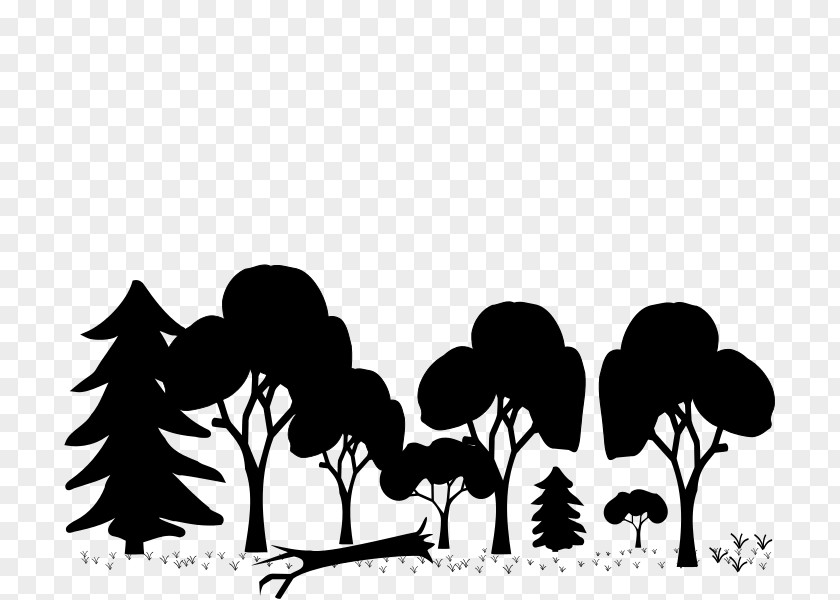 Forest Woodland Clip Art PNG