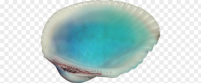 Mussel Bivalvia Castle Of Glass PNG