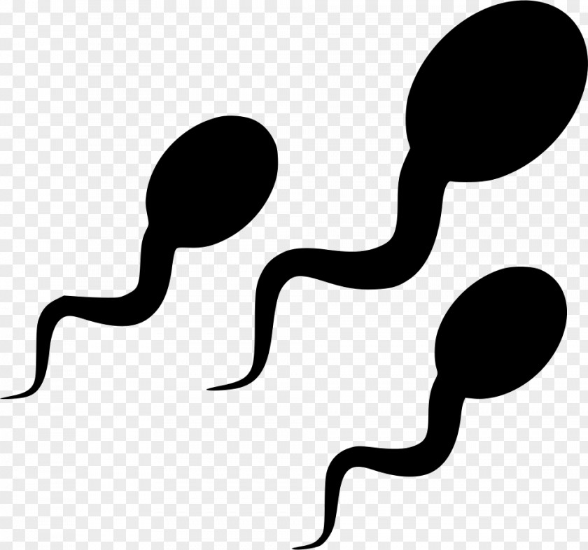 Sperm PNG , semen clipart PNG