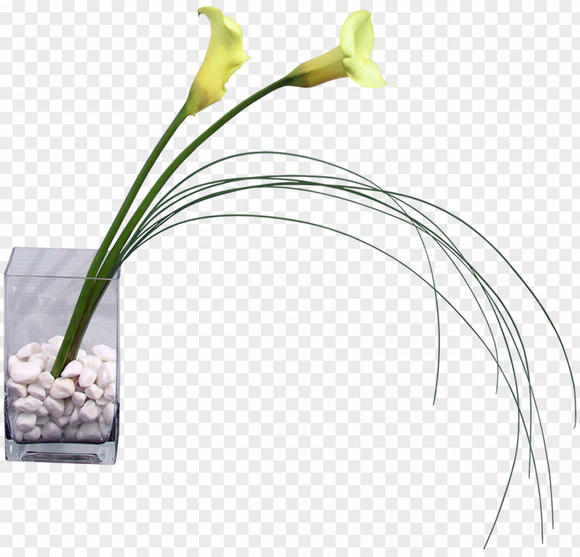 Vase Floral Design Flower Bouquet PNG