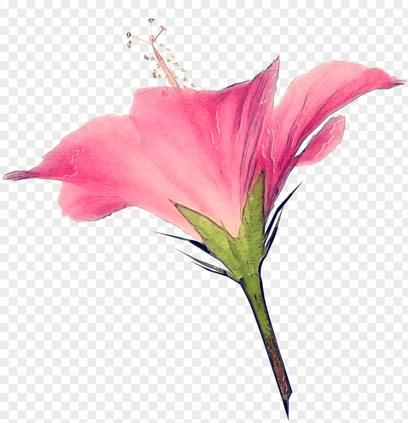 Artificial Flower Anthurium PNG