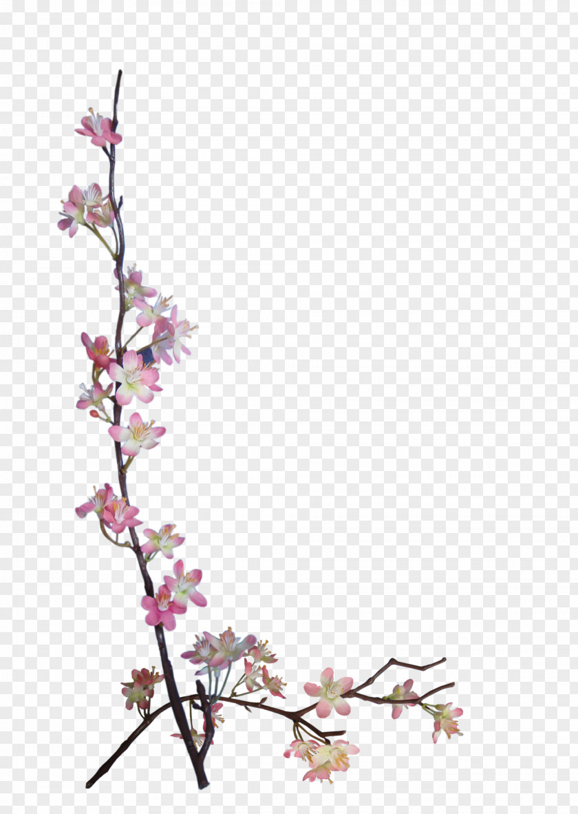 BLOSSOM Flower Paper Embellishment Scrapbooking Floral Design PNG