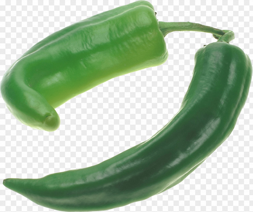 Pepper Image Serrano Bell Jalapeño Cayenne PNG