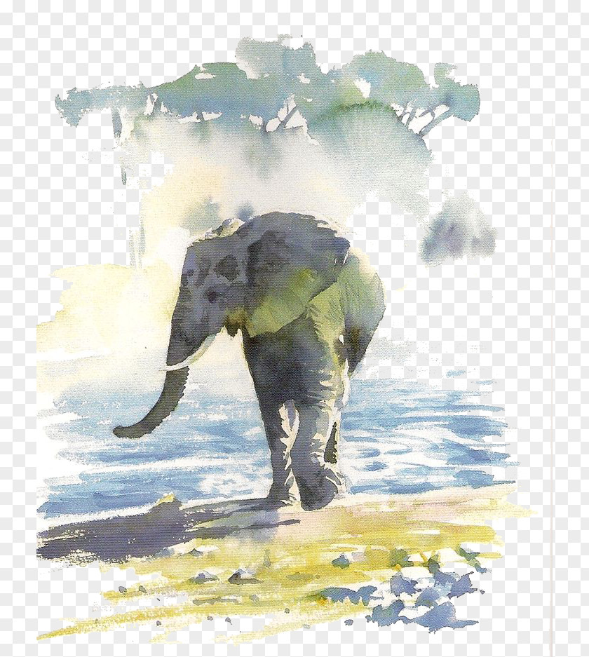 Wading Elephants Hazel Soans African Watercolours Paper Watercolor Painting Painter PNG