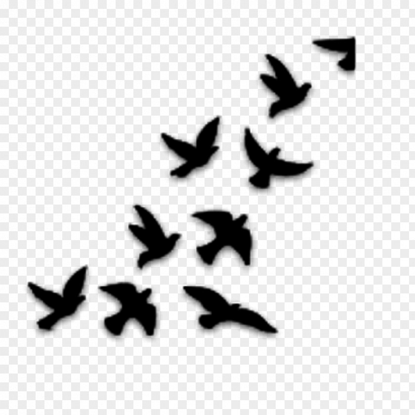 Bird Drawing YouTube Stencil PNG
