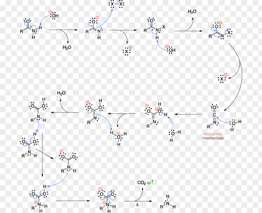Hofmann Rearrangement Reaction Elimination Curtius PNG