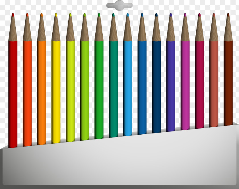 Vector Color Pencil Colored Drawing PNG