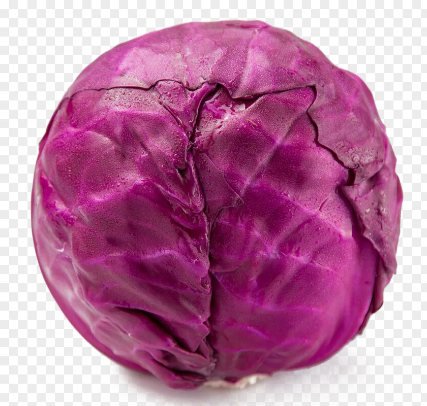 A Purple Cabbage Red Glebionis Coronaria Broccoli Vegetable PNG