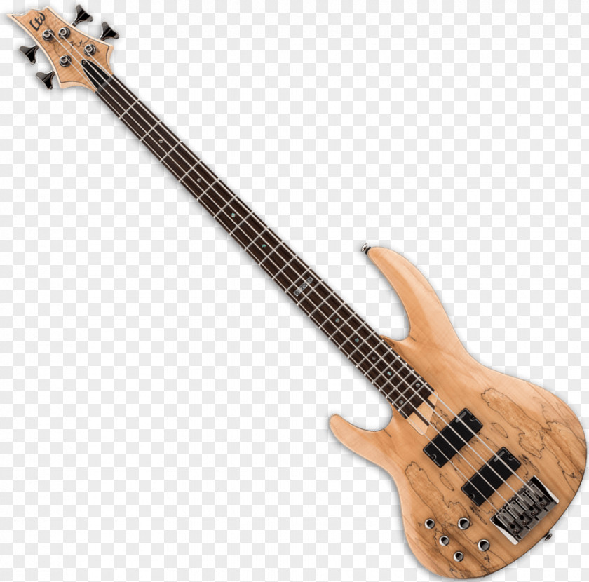 Bass Guitar Musical Instruments Cuatro ESP LTD B205SM PNG