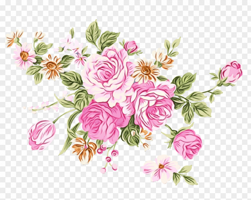 Garden Roses International Women's Day Cabbage Rose Moscow Yandex PNG