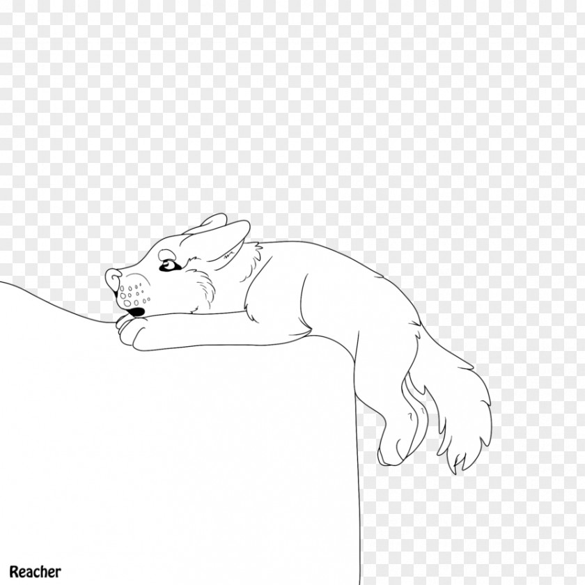 Lion Sketch Cat Finger Drawing PNG