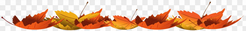 Or Autumn Leaf Color Clip Art PNG
