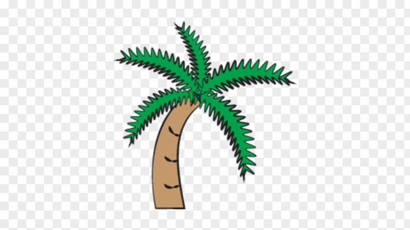 Palm Tree PNG