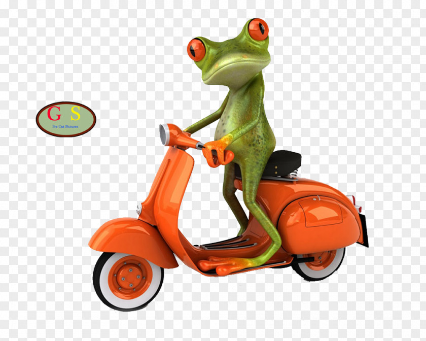 Scooter Red-eyed Tree Frog Desktop Wallpaper Clip Art PNG