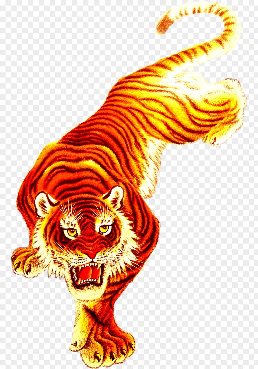Tiger Flame Lion Tigon PNG