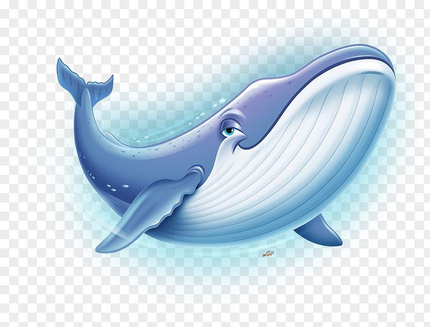 Whale Splash Vacation Bible School Clip Art Ocean PNG