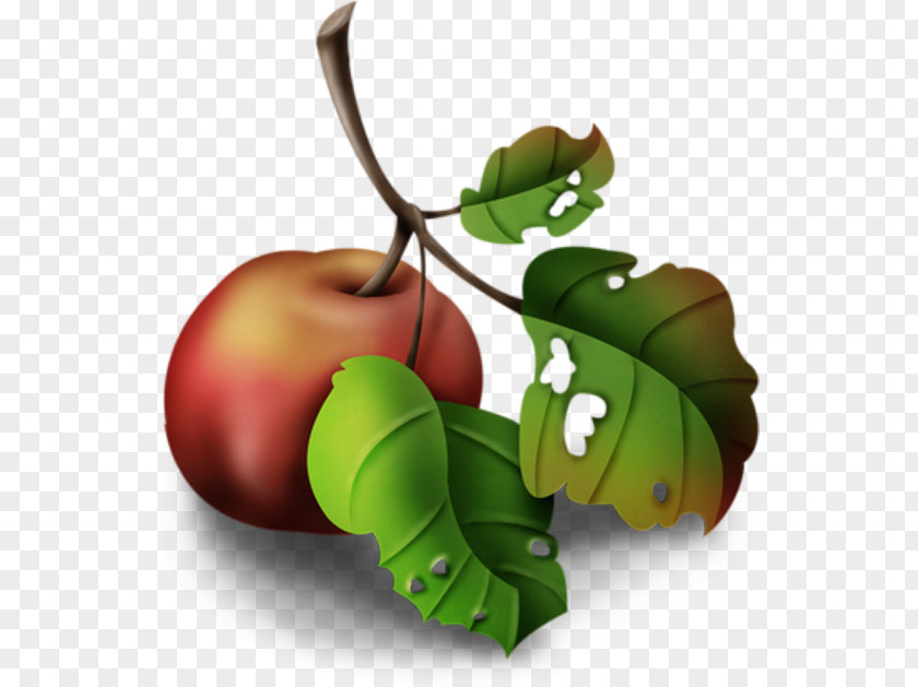 Animated Apple Fruit M / 0d Butterfly Graphics Product Design PNG