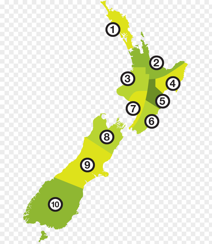 Book EcoZip Adventures South Island More Of The World’s Best Drinking Jokes Gap Yah Plannah PNG