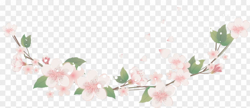 Flower Picture Frames Floral Design Clip Art PNG
