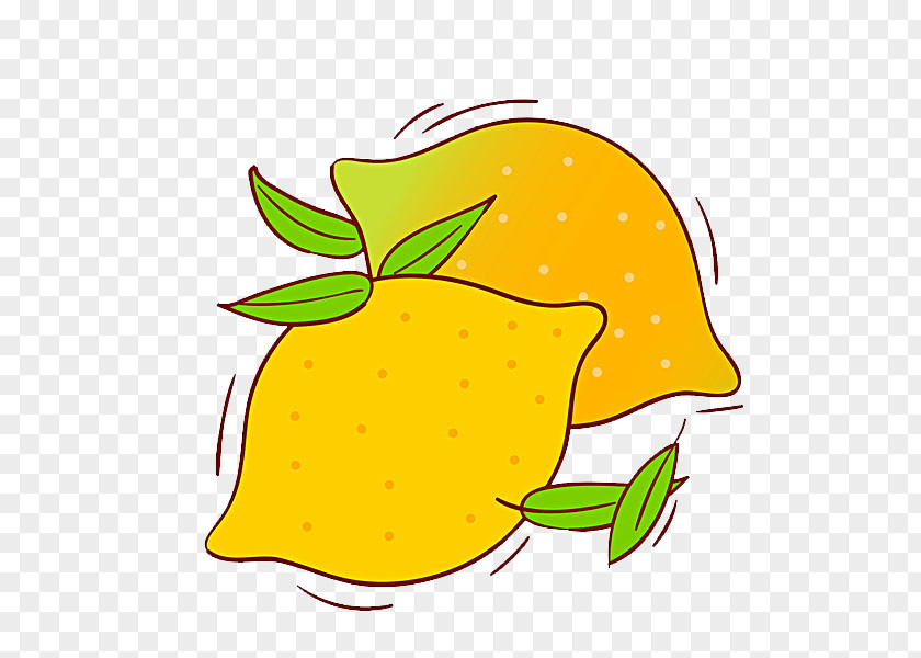 Fresh Lemon Fruit Illustration PNG