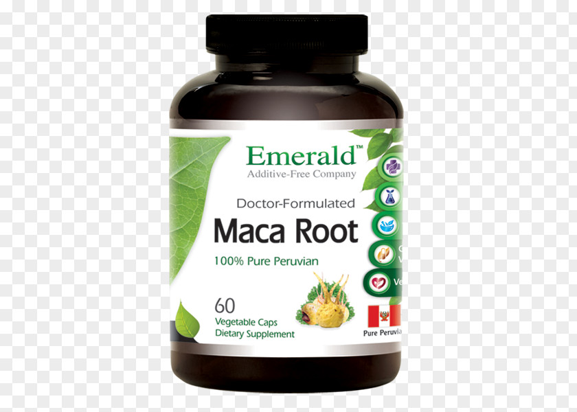 Maca Root Dietary Supplement Nutrient Sea Buckthorn Oil Buckthorns Food PNG