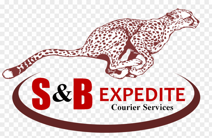 Omni Tech Trans Llc S&B Expedite Courier Brand Commercial Drive Delivery PNG