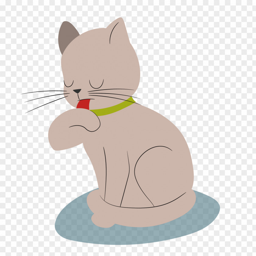 Vector Cat Whiskers Kitten Tabby Domestic Short-haired PNG