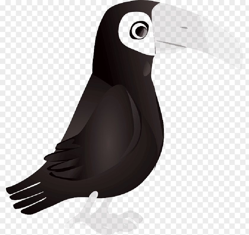 Bird Clip Art Beak White-throated Toucan Keel-billed PNG