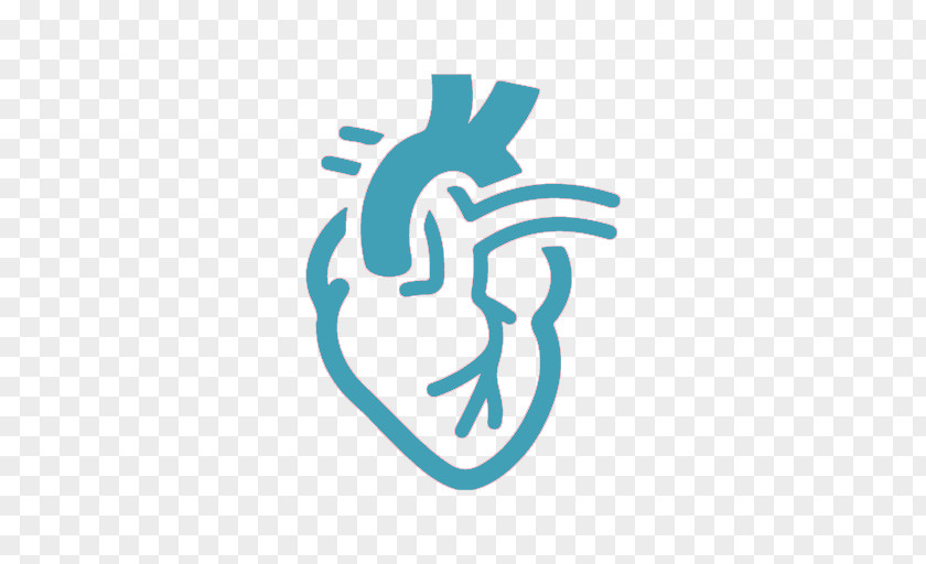 Heart Cardiology Hospital Physician Medicine PNG