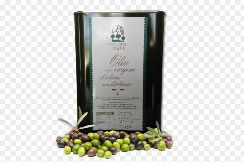 Oil Bag-in-box Olive Soc. Coop. Olivicoltori Valle Del Cedrino-Costa Degli Olivi PNG