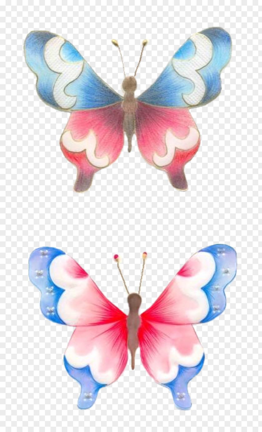 Papillon Moth Symmetry PNG
