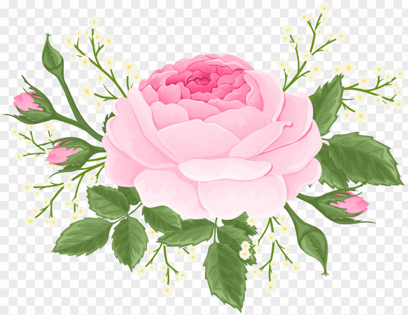 Pink Rose With White Flowers Clip Art Image PNG