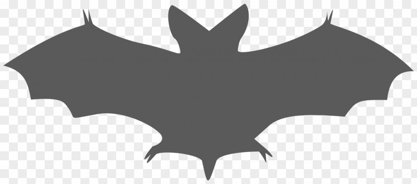Bats Clipart Bat Clip Art PNG