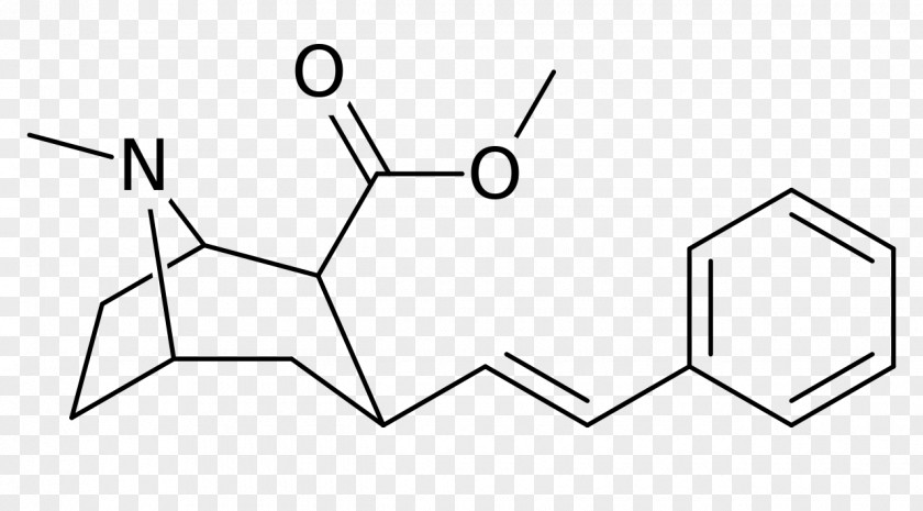 Cocain RTI-55 RTI-31 Phenyltropane Structural Analog Dopamine Transporter PNG