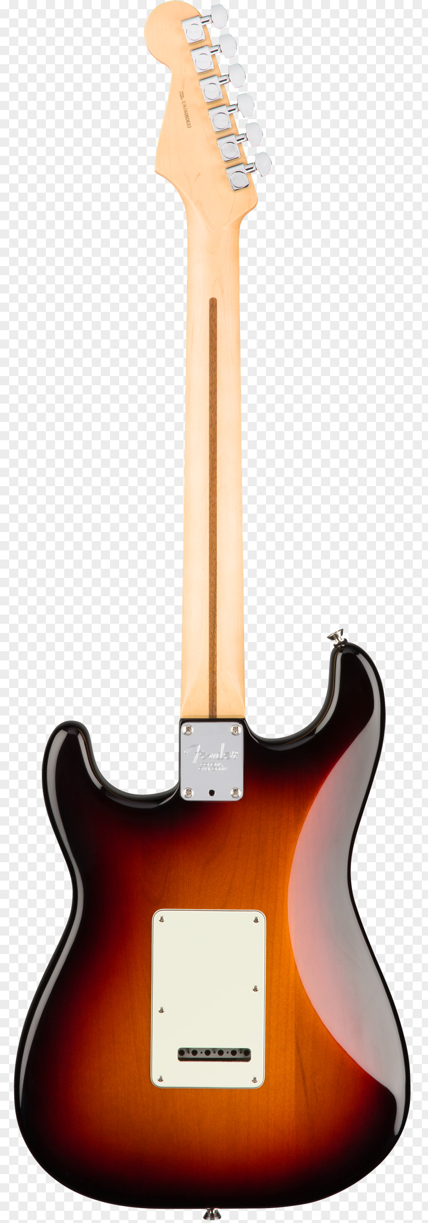 Electric Guitar Fender Stratocaster String Instruments Musical Corporation PNG