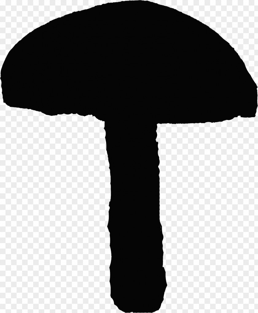 Fungi Silhouette Fungus Mushroom Slime Mold Photography PNG