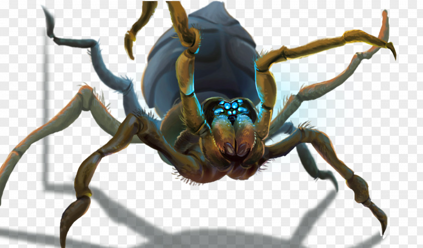 Spider RuneScape Insect Game Arthropod Animal PNG