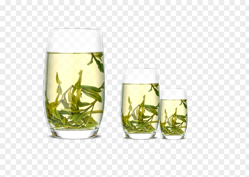 Tea Cup Longjing Green Xinyang Maojian Junshan Yinzhen PNG