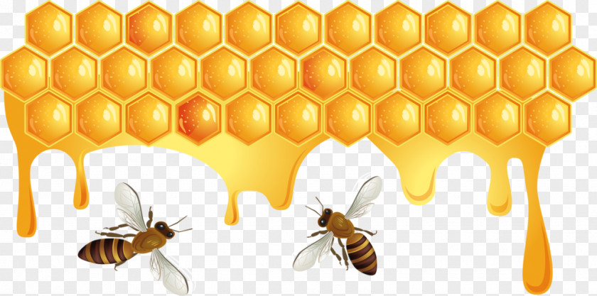 Bees And Honeycomb PNG and honeycomb clipart PNG
