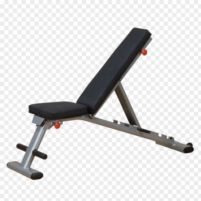 Bench Human Body Weight Training Fitness Centre Physical PNG