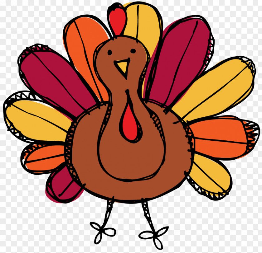 Cute Feather Cliparts Turkey Meat Thanksgiving Drawing Clip Art PNG