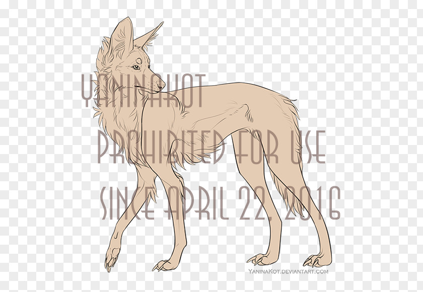 Dog Breed Maned Wolf DeviantArt Line Art PNG