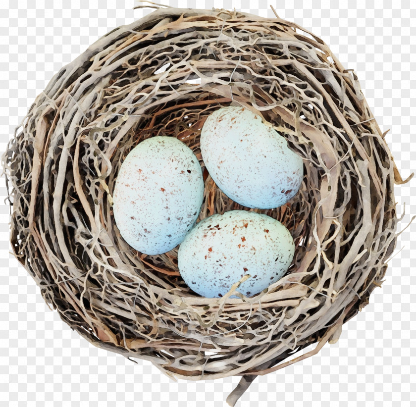Gift Basket Bird Egg PNG